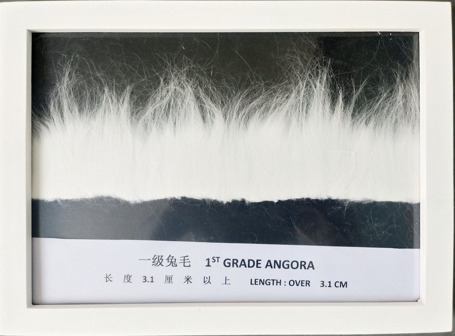 一级兔毛