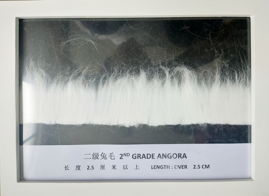 二级兔毛